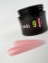 Builder Gel 09.1